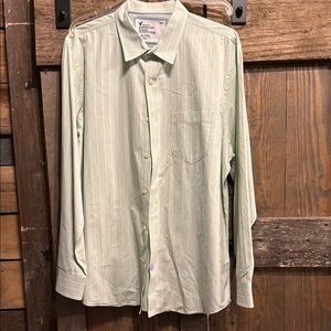 American Eagle Outfitters Light Green Striped Shirt